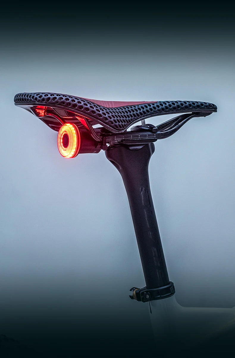 ROCKBROS Smart Bike Tail Light Bicycle Rear Lights IPX6 Waterproof