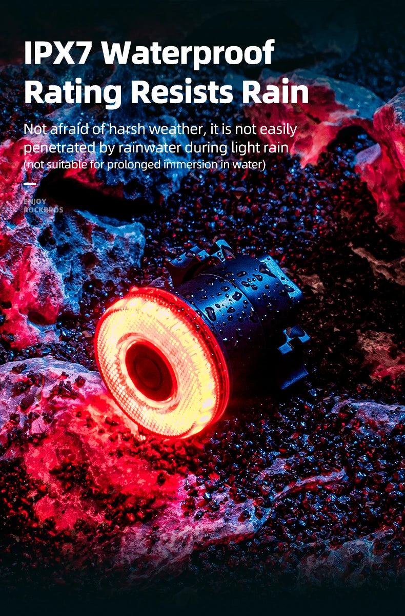 ROCKBROS Smart Bike Tail Light Bicycle Rear Lights IPX6 Waterproof