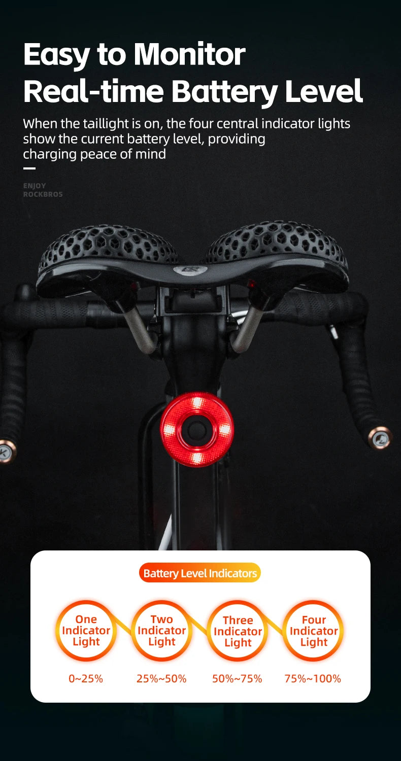 ROCKBROS Smart Bike Tail Light Bicycle Rear Lights IPX6 Waterproof