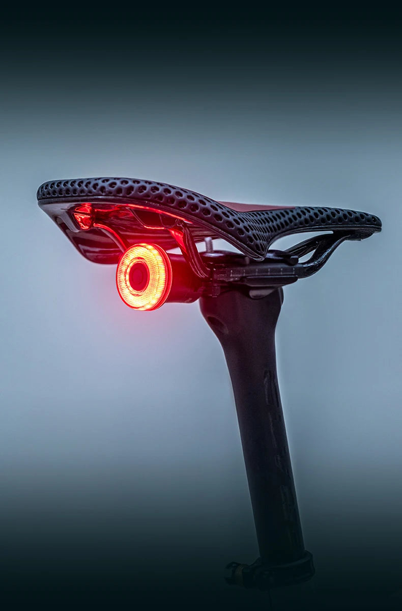 ROCKBROS Smart Bike Tail Light Bicycle Rear Lights IPX6 Waterproof